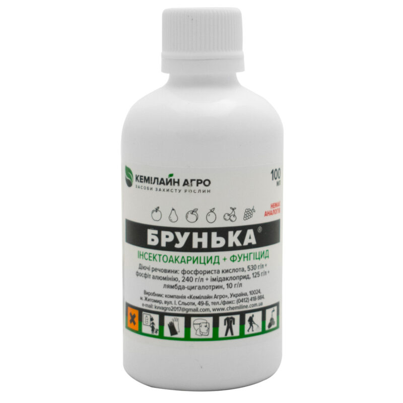 Інсектоакарицид + фунгіцид Брунька концентрат 100 мл