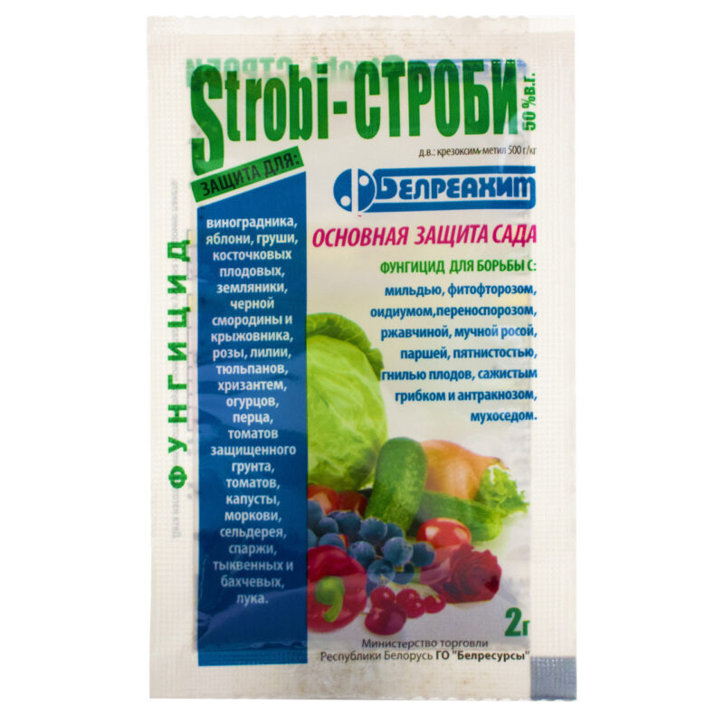 Фунгіцид Стробі 50% в.г 2 г