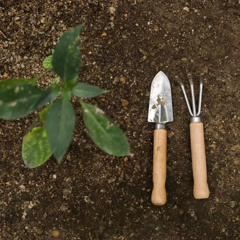 flat-lay-gardening-concept (1)